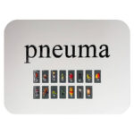 PNEUMA,